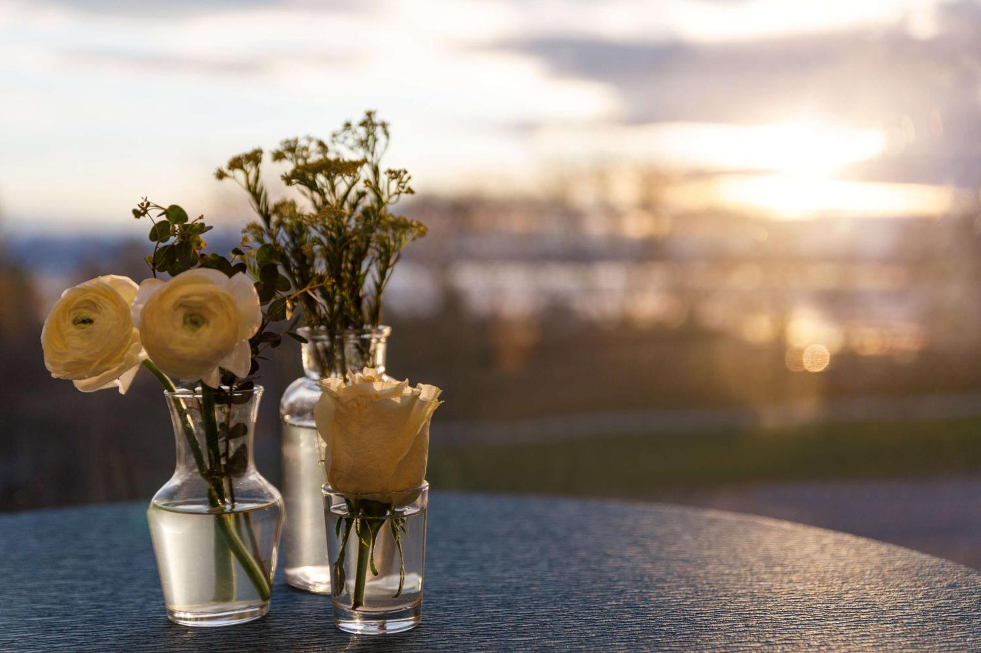 Hotel Champlain Burlington, Curio Collection By Hilton Exterior photo